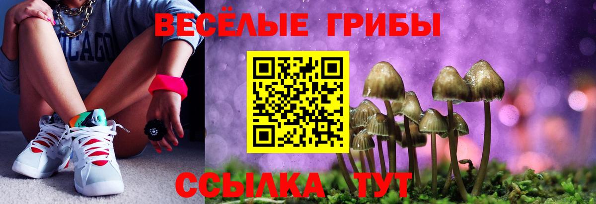 где найти наркотики  Галлюциногенные грибы Psilocybe  Вход с VPN  Чебаркуль 